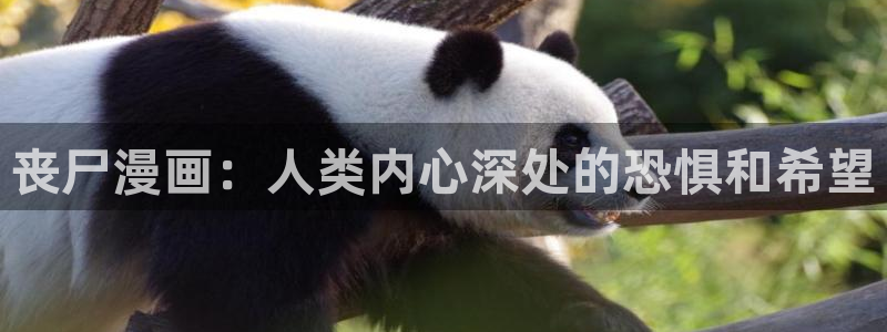 韩漫羞羞漫画破解版：丧尸漫画：人类内心深处的恐惧和希望