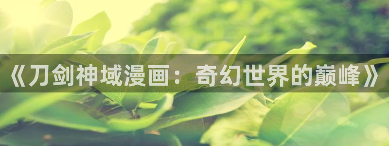 禁漫羞羞漫画歪歪漫画：《刀剑神域漫画：奇幻世界的巅峰》