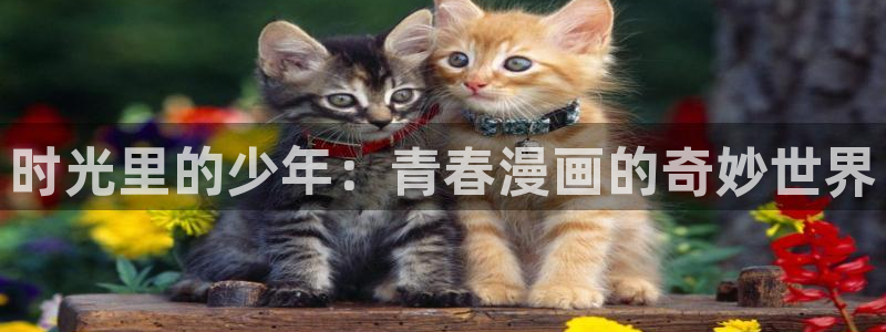 羞羞漫画站点标题：时光里的少年：青春漫画的奇妙世界